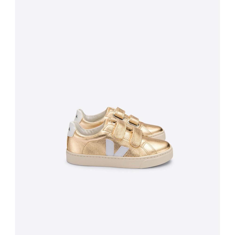 Kids\' Veja ESPLAR CHROMEFREE Shoes Gold | ZA 725HAP